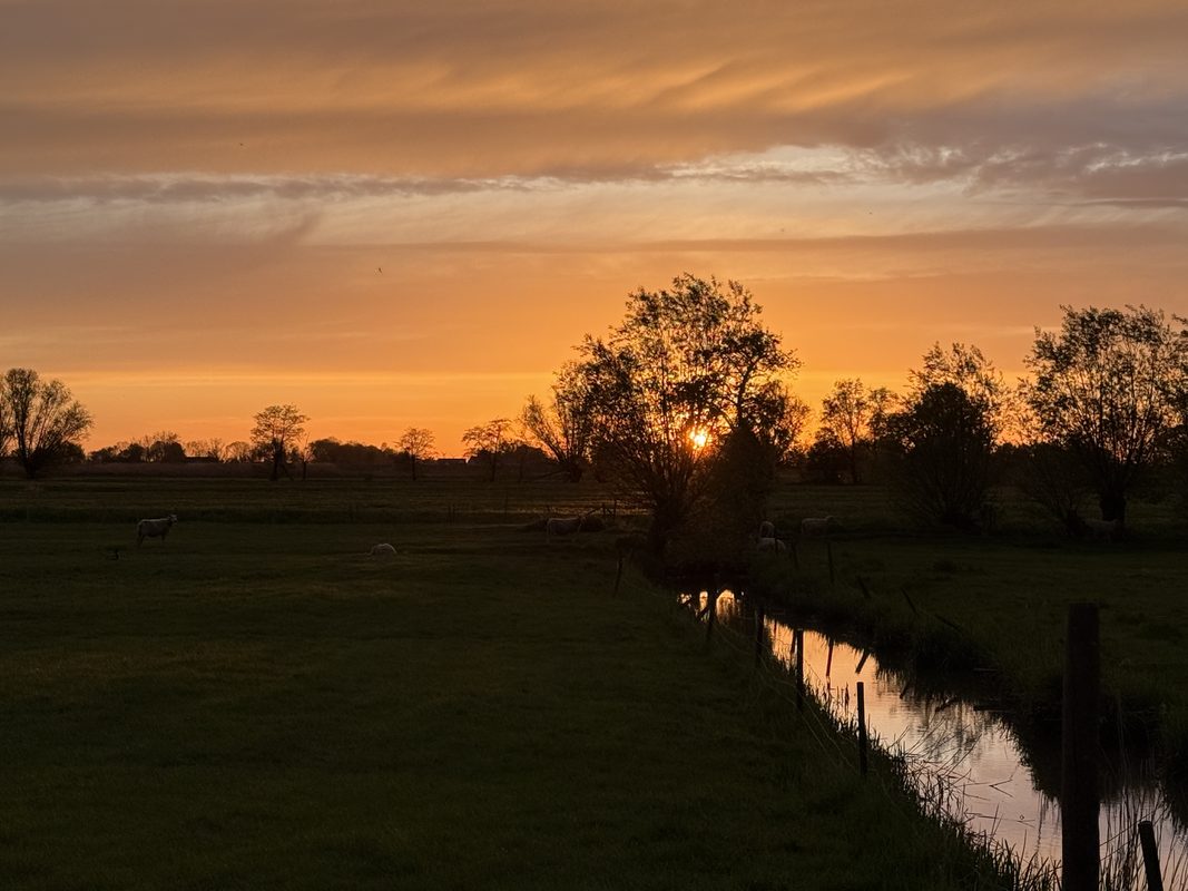 Sonnenuntergang über der Elbmarsch