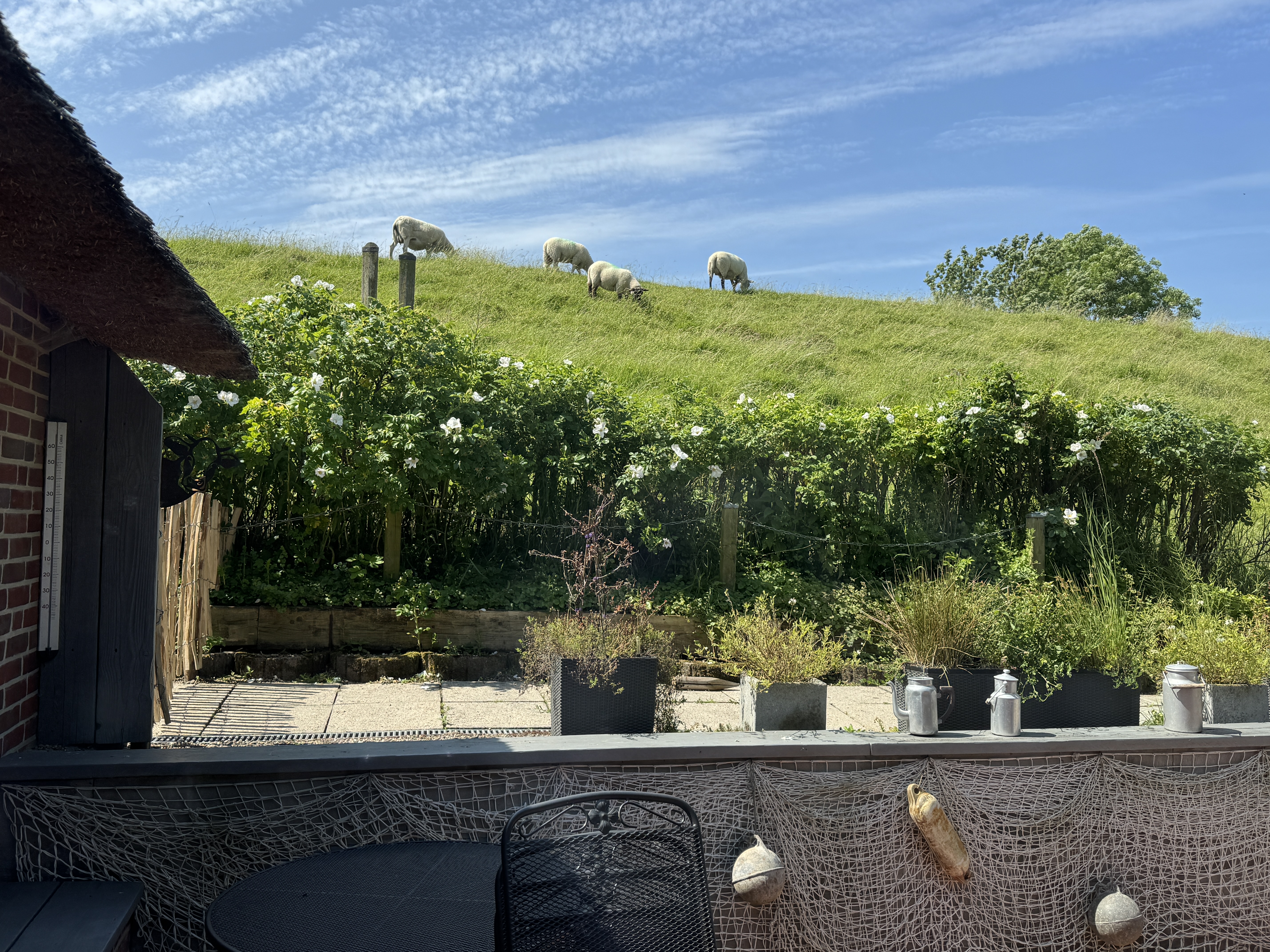 Terrasse mit Deichblick